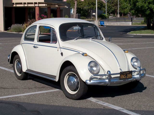 66-vw-beetle